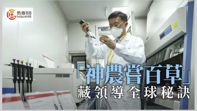 外包项目经验真正值钱的地方