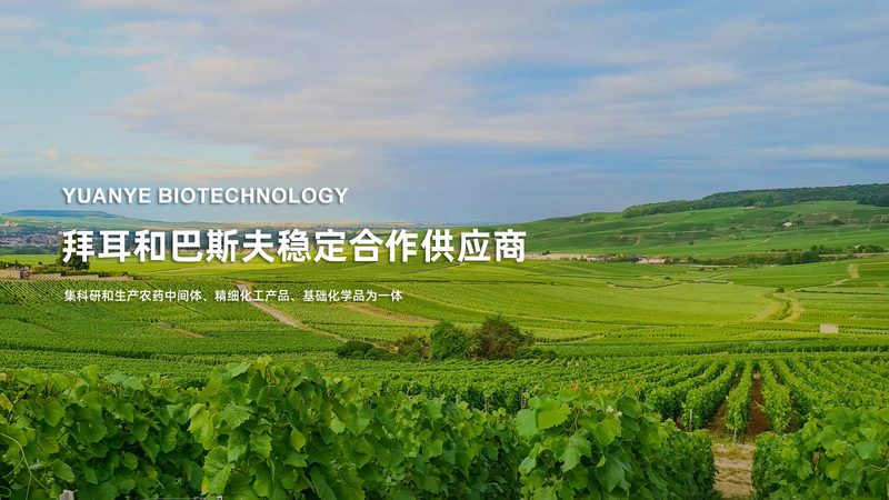PP、PE、PS离心管材质有何区别？**