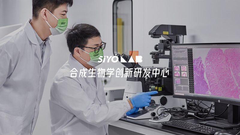 基因检测价格之谜：揭秘影响价格的关键因素