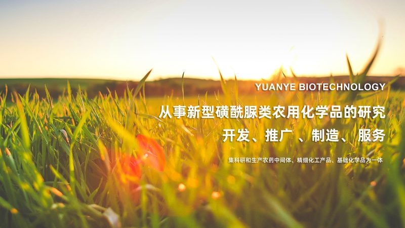 CDMO定制研发资质要求：揭秘合规之路