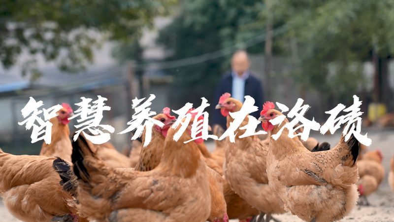 南京农副产品有限公司