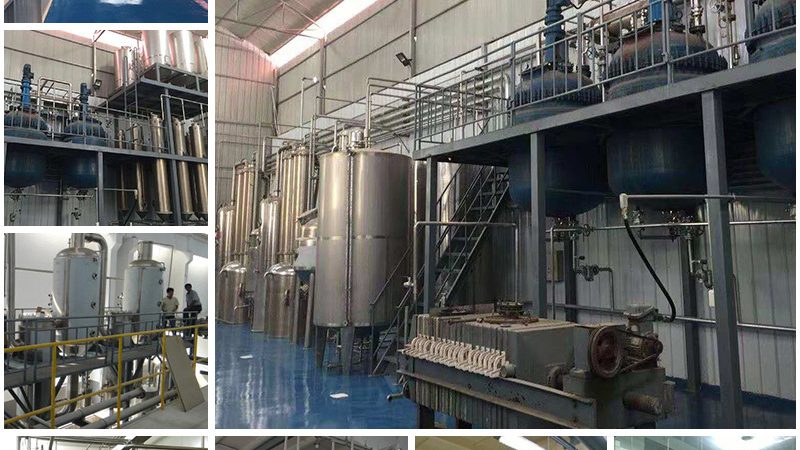 揭秘CRO定制化解决方案：报价背后的考量因素