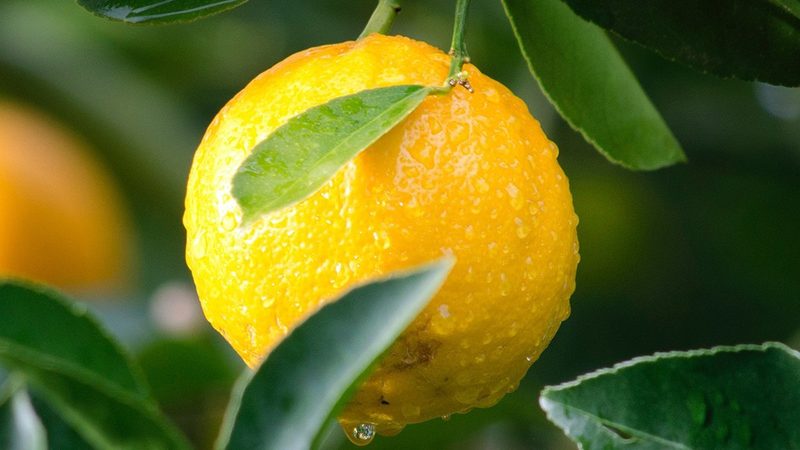 CRO策略转化率提升方案：从实验设计到数据落地的完整路径
